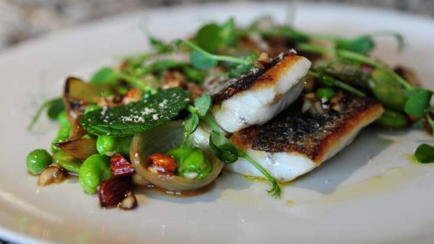 “非常美味”:Mulloway,杏仁黄油,洋葱杯,宽阔的豆类和豌豆。