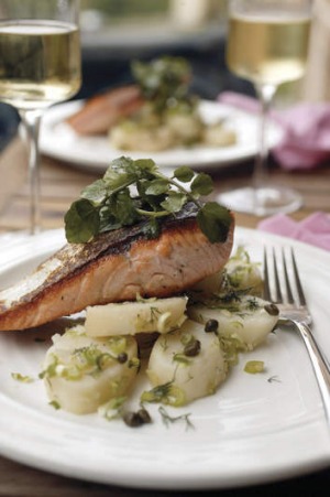 温暖的鲑鱼,土豆和莳萝沙拉。