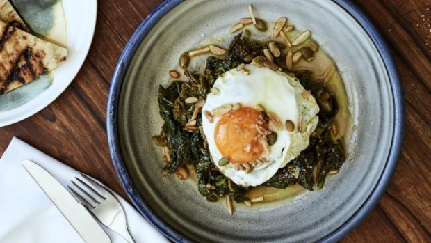 用番茄、橄榄油、谷物、坚果和煎蛋炖野菜。