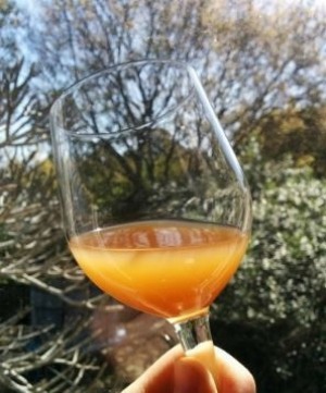 Vegemite不能自制啤酒。