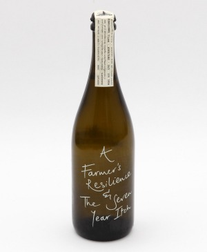 Farmhouse-style啤酒。