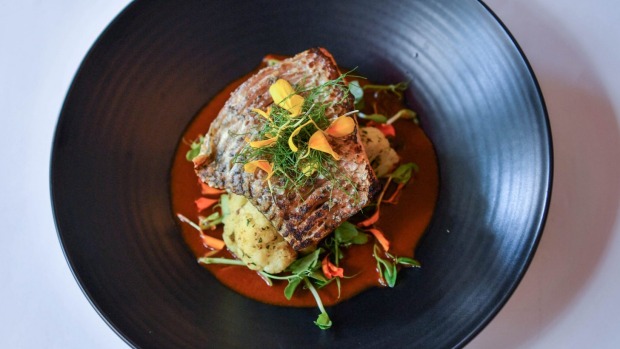 humpty doo barramundi。
