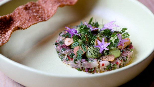 金鱼ceviche,鳄梨,手指石灰和香菜饼干。