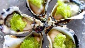 1 _oyster-thumb