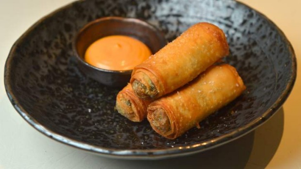 菠菜和胎满钻孔。