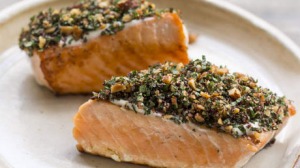 SALMON-460.