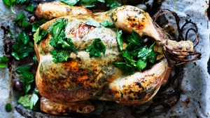 chicken_460