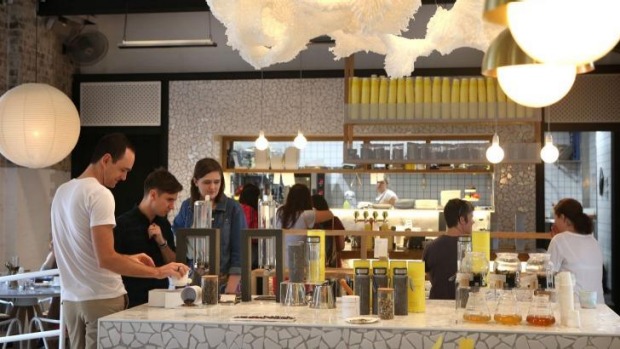 茶时间：兔孔有机茶棒。