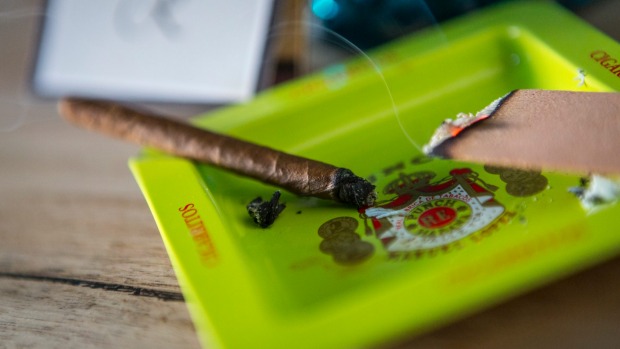 Stogies是出售，有一个荨麻疹的火花