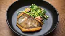 前往菜：烤John Dory，贻贝，Celeriac＆Caper沙拉。