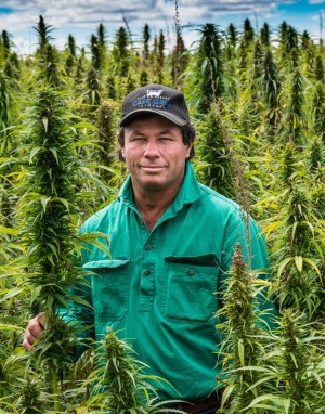 农民蒂姆·施密特出售大麻种子作为食物，而大麻的茎杆作为菜园的护根物。