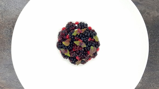 Walmelon和Shiso冰糕，Blackberry和Bentley的Davidson's Plum。