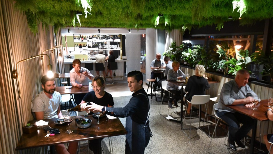 圣贾尔斯葡萄酒酒吧和餐具室设有悬挂的绿色植物。