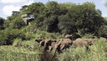 克鲁格国家公园内的Singita Lebombo Lodge的客人看到了一个惊人的野生动植物。