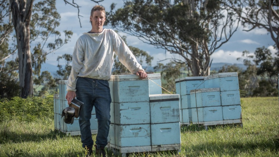 东吉普斯兰养蜂人本·墨菲（Ben Murphy），Tambo Valley Honey的所有者。