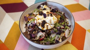 完整的墨西哥早餐经验：Burratta Chilaquiles（玉米薯条与布里拉塔顶部）。