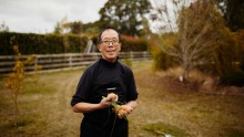 托尼·谭（Tony Tan）在维多利亚州特伦瑟姆（Trentham）的烹饪学校花园里。
